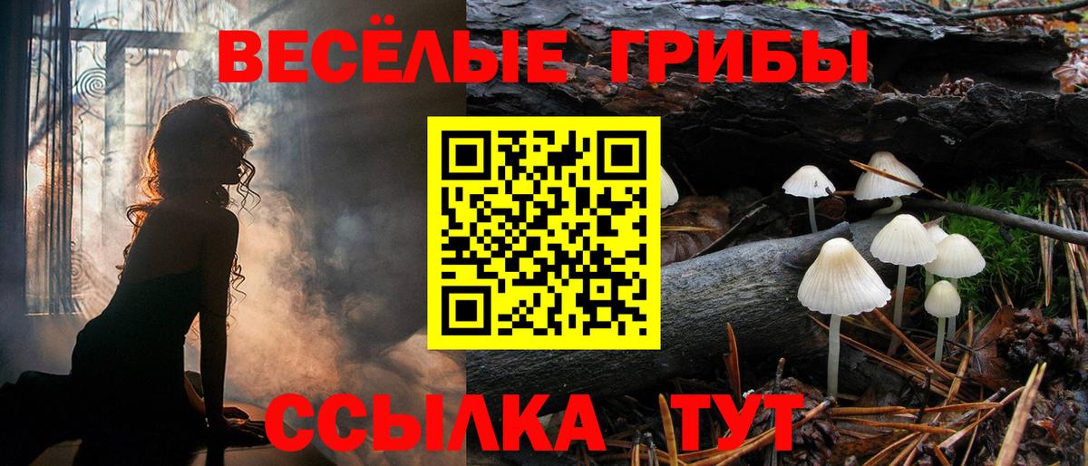 Галлюциногенные грибы Psilocybe Туапсе