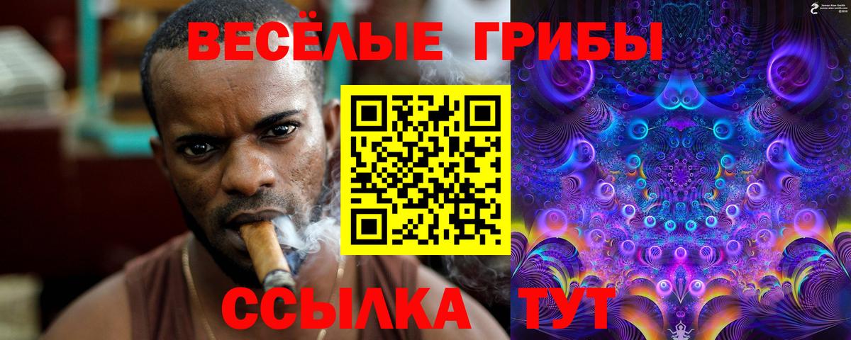 Галлюциногенные грибы Magic Shrooms  Вход с VPN  Туапсе 